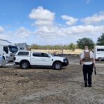 Foram retirados 24 gatos da mulher, que não pode ficar aos cuidados de mais de cinco felinos.