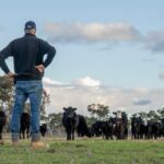 Crise de eliminação personalizada tira dos produtores a capacidade de fazer marcas de nicho pagarem