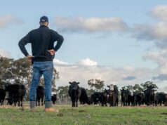 Crise de eliminação personalizada tira dos produtores a capacidade de fazer marcas de nicho pagarem Crise de eliminação personalizada tira dos produtores a capacidade de fazer marcas de nicho pagarem