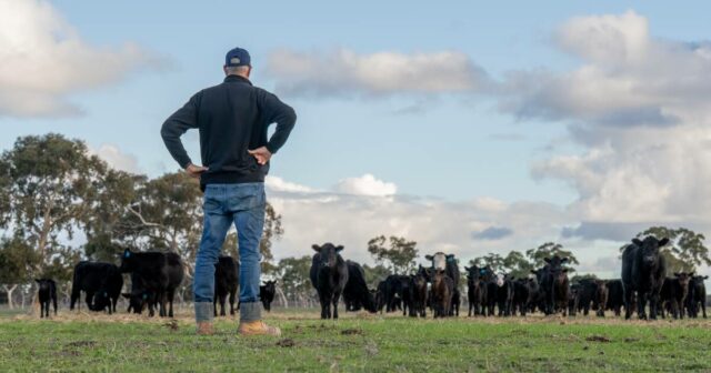 Crise de eliminação personalizada tira dos produtores a capacidade de fazer marcas de nicho pagarem
