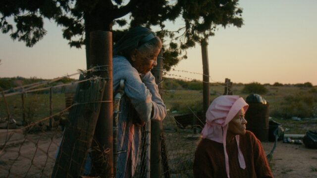 Crítica de 'Variações sobre um tema': uma mulher encara cabras - e relembra uma vida - no adorável e lírico vencedor de Rotterdam
