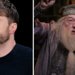 Daniel Radcliffe e Tom Felton posam durante a exibição do filme em Nova York