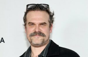 David Harbour, de Stranger Things, é visto com uma mulher misteriosa enquanto Maya Hawke se casa Histórias de namoro do elenco de Stranger Things por dentro das estrelas da Netflix amam vidas