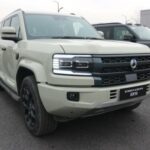 Denza B5 também aparece, BYD novamente "lê" sabores indonésios