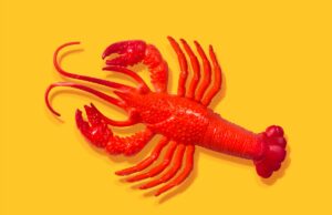 Depois de todo o hype, alguns especialistas em IA não acham que o OpenClaw seja tão empolgante Depois de todo o hype, alguns especialistas em IA não acham que o OpenClaw seja tão empolgante