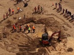 Descoberta incrível na popular praia australiana: ‘É simplesmente alucinante’ O passeio de uma família na praia em dezembro de 2025 levou a uma das descobertas fósseis mais significativas da Austrália