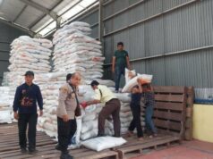 Desregulamentação maciça, governo acelera autossuficiência alimentar em múltiplas commodities Desregulamentação maciça, governo acelera autossuficiência alimentar em múltiplas commodities