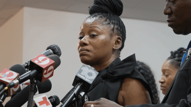 Documentário Oscar Race reflete campo equilibrado de histórias nacionais e internacionais
