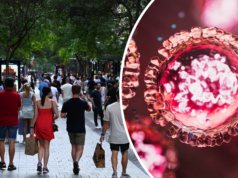 Doença altamente infecciosa circulando em Sydney à medida que o surto cresce NOTÍCIAS: Genéricos do Campbelltown Hospital. 5 de agosto de 2021, Foto: Wolter Peeters, The Sydney Morning Herald.