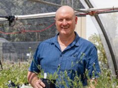 Dois líderes de grãos WA reconhecidos com prêmios do painel ocidental GRDC no Updates Dois líderes de grãos WA reconhecidos com prêmios do painel ocidental GRDC no Updates