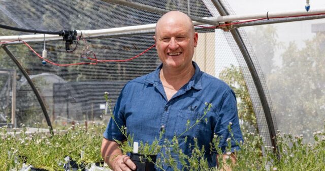 Dois líderes de grãos WA reconhecidos com prêmios do painel ocidental GRDC no Updates
