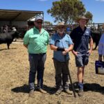 Dois touros dividem as honras de maior preço na oitava venda anual do sul