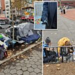 Donos de lojas de Nova York alegam que drogados furtam lojas e vendem produtos em troca de drogas: 'É como um desfile'