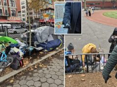 Donos de lojas de Nova York alegam que drogados furtam lojas e vendem produtos em troca de drogas: ‘É como um desfile’ Donos de lojas de Nova York alegam que drogados furtam lojas e vendem produtos em troca de drogas: 'É como um desfile'