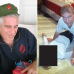 E-mails entusiasmados do ex-príncipe Andrew para Epstein implorando para ter permissão para ficar em sua casa depois que o agressor sexual foi libertado da prisão: documentos