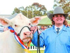 Ele tem apenas 20 anos, mas Sam já é um líder na caça de gado WA Ele tem apenas 20 anos, mas Sam já é um líder na caça de gado WA