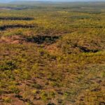 Empresa agrícola busca maior retorno para o dinheiro de seus investidores rumo ao norte