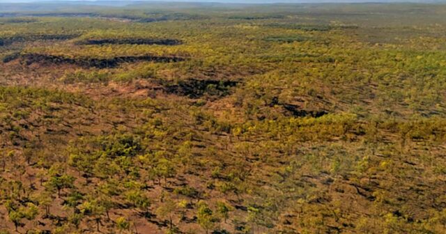 Empresa agrícola busca maior retorno para o dinheiro de seus investidores rumo ao norte
