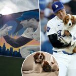 Shohei Ohtani segurando seu cachorro, Decoy, em um campo de beisebol.