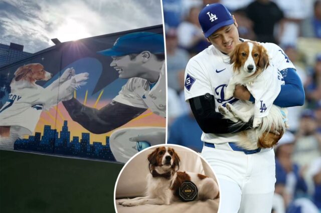 Shohei Ohtani segurando seu cachorro, Decoy, em um campo de beisebol.