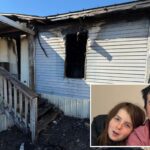 Esquilo mastiga fios elétricos, provocando o inferno que destruiu a casa da família na Flórida: 'Começando do zero'