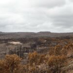 Este parque nacional foi gravemente queimado e os voluntários dizem que é hora de mudar