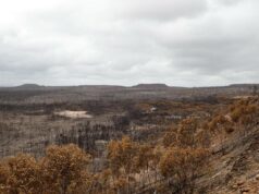 Este parque nacional foi gravemente queimado e os voluntários dizem que é hora de mudar Este parque nacional foi gravemente queimado e os voluntários dizem que é hora de mudar