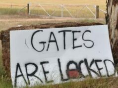 ‘Estressado ao ponto de ruptura’: plano baseado em evidências para proteger terras agrícolas de primeira qualidade 'Estressado ao ponto de ruptura': plano baseado em evidências para proteger terras agrícolas de primeira qualidade