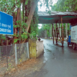 Estudo do IIT Bombay relaciona o excesso de muco ao enfraquecimento das defesas dos pulmões, acima de tudo