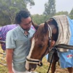 O ex-diretor não registrado do NDIS enfrenta pena de 15 anos de prisão por suposto uso indevido de US$ 858 mil. Um homem está ao lado de um cavalo marrom em um paddock, inclinando suavemente a cabeça em direção ao cavalo, que usa uma máscara de mosca e um tapete, com árvores ao fundo.