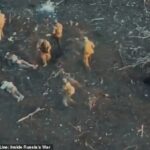 Soldados descreveram serem enviados em missões de batalha de ‘tempestade de carne’