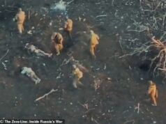 Execuções brutais de comandantes russos… de seus PRÓPRIOS homens: soldados descrevem fossos cheios de homens baleados por fugirem da linha de frente ou enviados desarmados em missões suicidas de ‘tempestade de carne’ Soldados descreveram serem enviados em missões de batalha de ‘tempestade de carne’