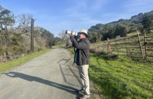Eye on the Hills: o trabalho do fotógrafo na vida selvagem da área de Oakland levanta o ânimo Eye on the Hills: o trabalho do fotógrafo na vida selvagem da área de Oakland levanta o ânimo