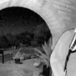 Savannah Guthrie e sua mãe Nancy Guthrie