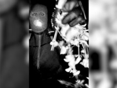 FBI divulga imagens de suspeito do sequestro de Guthrie FBI divulga imagens de suspeito do sequestro de Guthrie