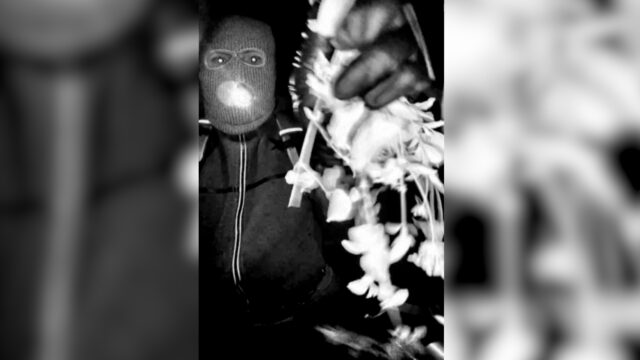 FBI divulga imagens de suspeito do sequestro de Guthrie
