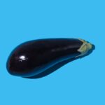 Raw eggplant with hard shadow on blue background.