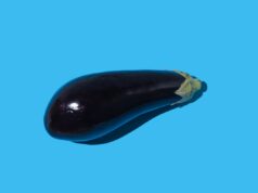 Fabricante de brinquedos sexuais Tenga diz que hacker roubou informações de clientes Raw eggplant with hard shadow on blue background.