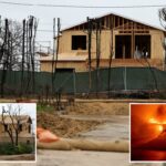 Figura impressionante necessária para salvar Pacific Palisades após incêndio apocalíptico