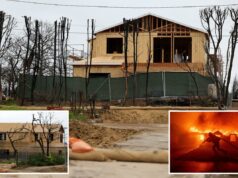 Figura impressionante necessária para salvar Pacific Palisades após incêndio apocalíptico Figura impressionante necessária para salvar Pacific Palisades após incêndio apocalíptico