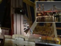 Fotos angustiantes mostram o resgate de um adolescente que caiu 15 metros na ponte de Nova York em uma manobra do TikTok que deu errado Fotos angustiantes mostram o resgate de um adolescente que caiu 15 metros na ponte de Nova York em uma manobra do TikTok que deu errado