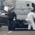 Melões frescos e melões frescos purificados.