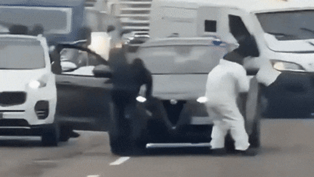 Melões frescos e melões frescos purificados.