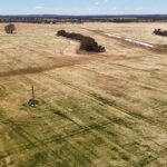 Grandes instalações da cidade do sul são uma grande atração para agricultores e famílias