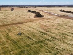 Grandes instalações da cidade do sul são uma grande atração para agricultores e famílias Grandes instalações da cidade do sul são uma grande atração para agricultores e famílias