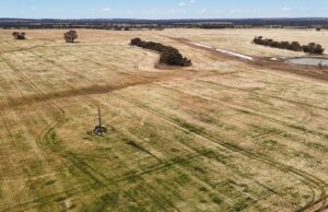 Grandes instalações da cidade do sul são uma grande atração para agricultores e famílias Grandes instalações da cidade do sul são uma grande atração para agricultores e famílias