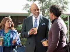 Grey’s Anatomy lança sustos de saúde ao longo dos anos: Eric Dane e mais Kat Walsh