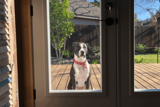 Homem alerta a esposa sobre alguém fora de casa às Homem alerta a esposa sobre alguém fora de casa às 6 da manhã – a realidade aquece corações