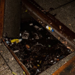 O homem lutou para se libertar do ralo. Foto: Mosman Living / Facebook