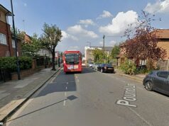 Homem, de 30 anos, é preso após mulher, de 50 anos, ser esfaqueada até a morte por agressor ‘conhecido por ela’ Um homem, de 30 anos, foi preso depois que uma mulher foi esfaqueada até a morte em Pound Lane, Willesden, na foto, por um agressor que se acredita ser conhecido dela